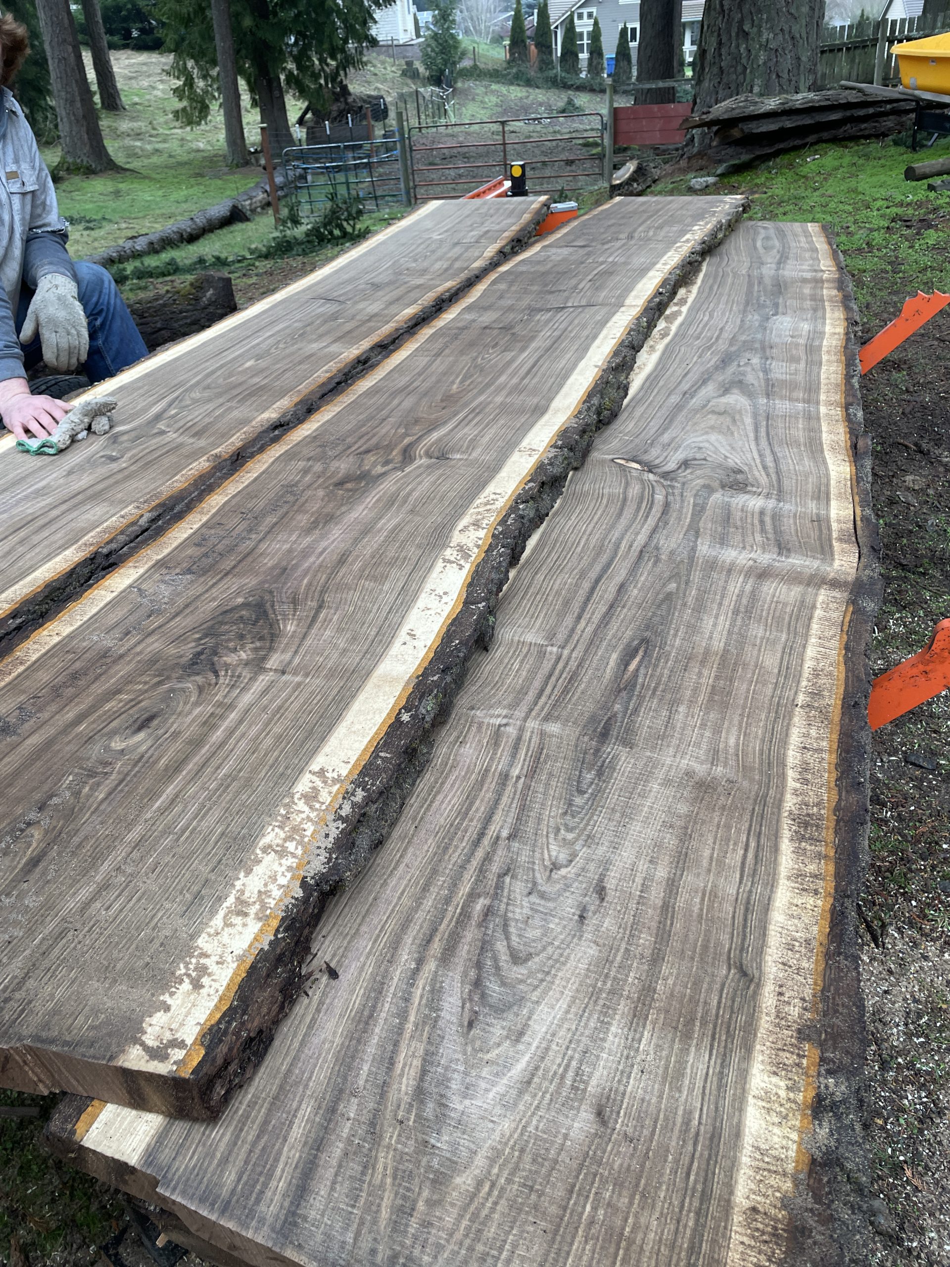 Black Walnut Slab