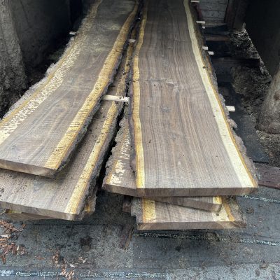 Black Walnut Thick Slab<font face="calibri"></font>